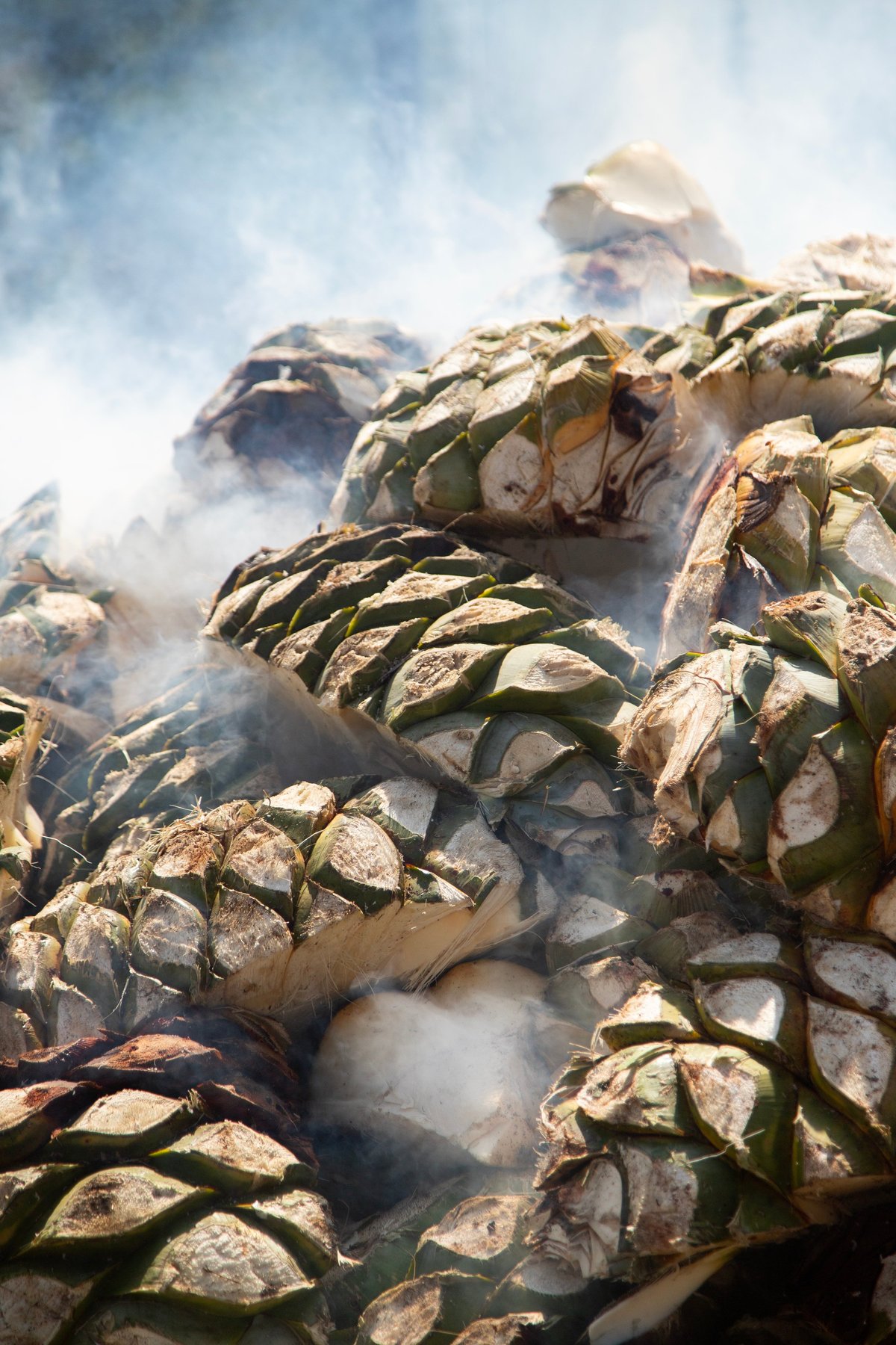 Proceso artesanal de destilación de mezcal en el valle de Oaxaca